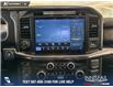 2025 Ford F-150 Tremor (Stk: P14623) in Airdrie - Image 19 of 25