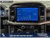 2023 Ford F-150 Lariat (Stk: P14618) in Airdrie - Image 19 of 25