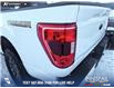2023 Ford F-150 Tremor (Stk: P6806) in Olds - Image 11 of 25