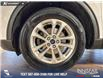 2022 Ford Escape SE (Stk: BJ288) in Airdrie - Image 6 of 25 2022 Ford Escape SE (Stk: BJ288) in Airdrie - Image 6 of 25