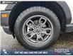 2024 Ford Bronco Sport Big Bend (Stk: U37869) in Red Deer - Image 6 of 25