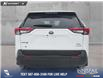 2020 Toyota RAV4 Hybrid XLE (Stk: P6837) in Olds - Image 5 of 5