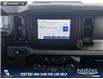 2023 Ford Bronco Black Diamond (Stk: P6812) in Olds - Image 19 of 25