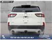 2022 Ford Escape SEL (Stk: U37883) in Red Deer - Image 5 of 24