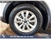 2020 Kia Sorento 2.4L LX (Stk: P14721) in Airdrie - Image 6 of 25