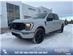 2023 Ford F-150 XLT (Stk: P6854) in Olds - Image 1 of 5