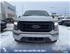 2023 Ford F-150 XLT (Stk: P6854) in Olds - Image 2 of 5