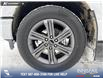 2023 Ford F-150 XLT (Stk: P6840) in Olds - Image 6 of 25