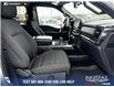 2023 Ford F-150 XLT (Stk: P6840) in Olds - Image 22 of 25