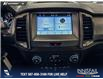 2019 Ford Ranger XLT (Stk: P14728) in Airdrie - Image 19 of 25