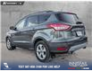 2015 Ford Escape SE (Stk: P6889) in Olds - Image 4 of 5