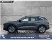 2020 Ford Escape SEL (Stk: P6817) in Olds - Image 3 of 25