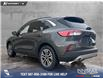 2020 Ford Escape SEL (Stk: P6817) in Olds - Image 4 of 25