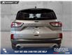 2022 Ford Escape SE (Stk: P14699) in Airdrie - Image 5 of 25