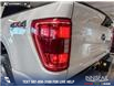 2023 Ford F-150 XLT (Stk: P14700) in Airdrie - Image 11 of 24