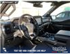 2023 Ford F-150 XLT (Stk: U37680) in Red Deer - Image 13 of 25