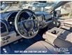 2020 Ford F-150 XLT (Stk: P1580) in Canmore - Image 13 of 27
