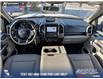 2020 Ford F-150 XLT (Stk: P1580) in Canmore - Image 24 of 27