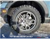 2021 Ford Bronco Sport Big Bend (Stk: U37919) in Red Deer - Image 6 of 25