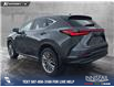 2023 Lexus NX 350 Base (Stk: P6895) in Olds - Image 4 of 25