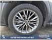 2023 Lexus NX 350 Base (Stk: P6895) in Olds - Image 6 of 25