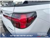 2024 Hyundai Santa Cruz Ultimate (Stk: P6853) in Olds - Image 11 of 25