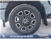 2024 Ford F-350 Platinum (Stk: U37908) in Red Deer - Image 6 of 25