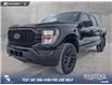 2023 Ford F-150 XL (Stk: P6862) in Olds - Image 1 of 23
