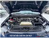 2023 Ford F-150 XL (Stk: P6862) in Olds - Image 10 of 23