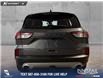 2022 Ford Escape PHEV Titanium (Stk: P14814) in Airdrie - Image 5 of 25