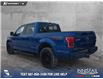 2017 Ford F-150 Lariat (Stk: P6905) in Olds - Image 4 of 24