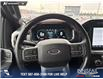 2021 Ford F-150 Lariat (Stk: P6926) in Olds - Image 13 of 23