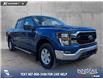 2023 Ford F-150 XLT (Stk: P1597) in Canmore - Image 1 of 25
