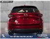 2025 Mazda CX-5 GS (Stk: P14863) in Airdrie - Image 5 of 25