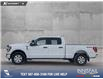 2023 Ford F-150 XLT (Stk: P6967) in Olds - Image 3 of 25