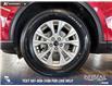 2023 Ford Escape Active (Stk: RC20036) in Airdrie - Image 6 of 25