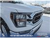 2023 Ford F-150 XLT (Stk: P6937) in Olds - Image 8 of 24
