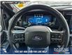 2025 Ford F-150 Platinum (Stk: P1609) in Canmore - Image 14 of 27