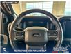 2024 Ford F-150 XLT (Stk: P14897) in Airdrie - Image 14 of 25