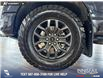 2025 Ford F-150 Tremor (Stk: P14906) in Airdrie - Image 6 of 25