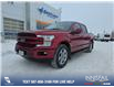 2019 Ford F-150 Lariat (Stk: P6963) in Olds - Image 1 of 5