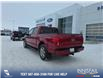 2019 Ford F-150 Lariat (Stk: P6963) in Olds - Image 4 of 5 2019 Ford F-150 Lariat (Stk: P6963) in Olds - Image 4 of 5