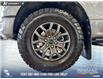 2025 Ford F-150 Tremor (Stk: P14908) in Airdrie - Image 6 of 25