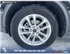 2023 Ford Escape PHEV (Stk: P6959) in Olds - Image 6 of 25