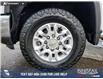 2024 Chevrolet Silverado 3500HD LT (Stk: U37974) in Red Deer - Image 6 of 24
