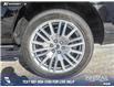 2024 Ford Expedition Max Platinum (Stk: P6976) in Olds - Image 6 of 25
