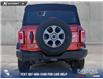 2024 Ford Bronco Big Bend (Stk: P6977) in Olds - Image 5 of 24