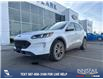 2022 Ford Escape SEL (Stk: P6987) in Olds - Image 1 of 4