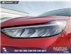 2025 Ford Escape ST-Line (Stk: U38010) in Red Deer - Image 8 of 25