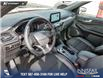 2025 Ford Escape ST-Line (Stk: U38010) in Red Deer - Image 13 of 25